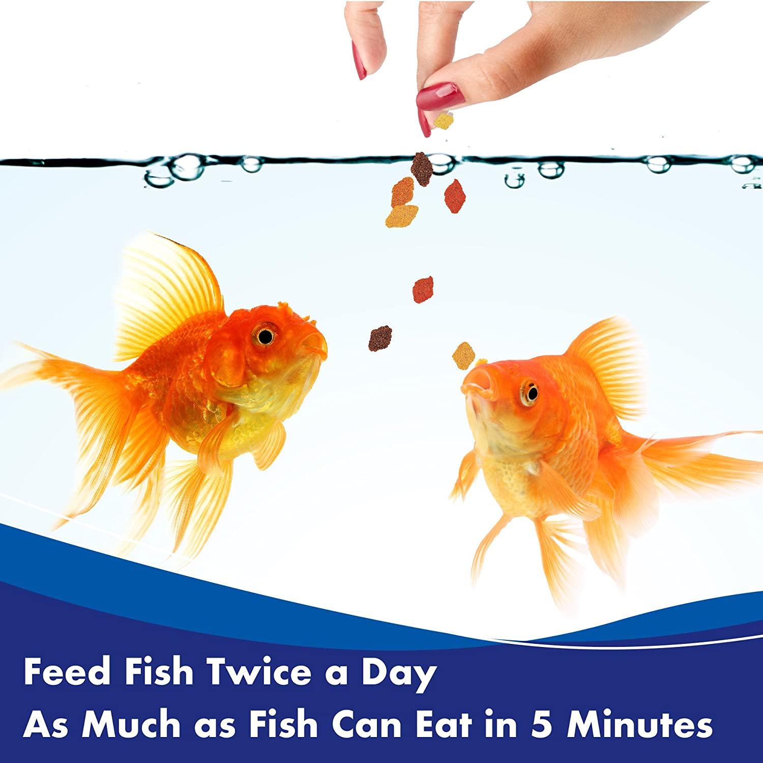 Aquarian Tropical and Temperate Fish Flake Food Pet Station Birmingham