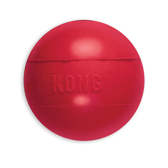 Kong Ball Dog Toy Large