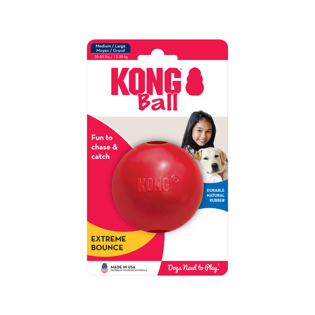 Kong Ball Dog Toy Large