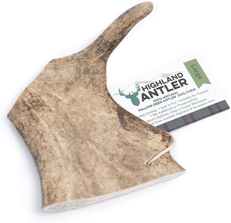 Highland Fallow Antler Dog Chew Treat