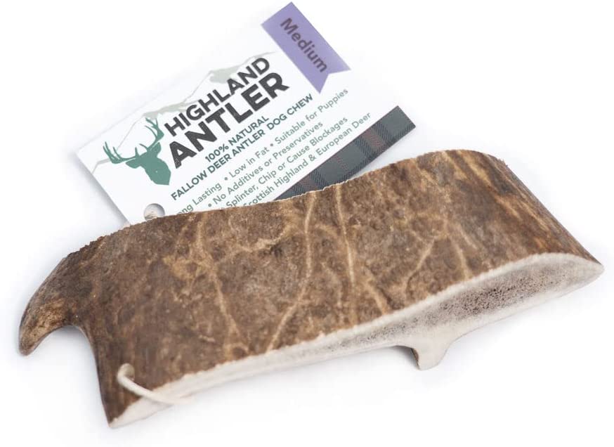 Highland Fallow Antler Dog Chew Treat