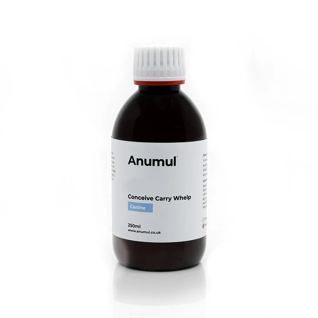 Anumul Conceive Carry Whelp Dog Multivitamins 250ml
