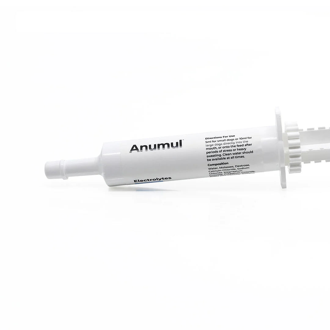 Anumul Electrolytes Dog Supplement