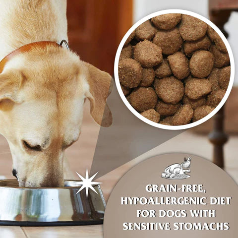 Dr John Grain Free Chicken & Potato Dry Dog Food 12.5kg