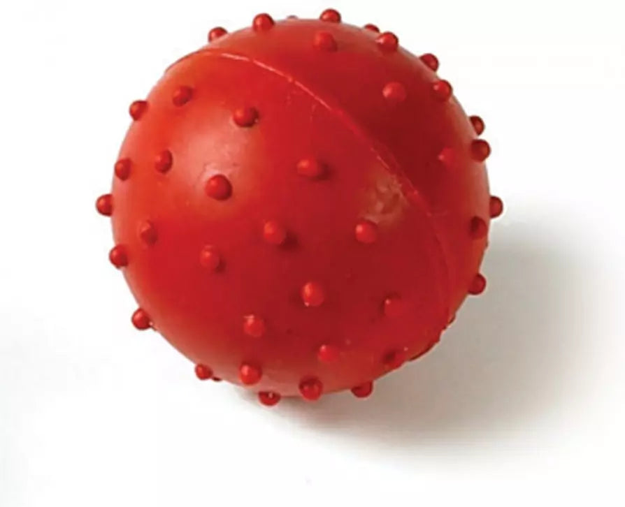 Classic Pimple Ball Bell Rubber Dog Chew Toy 2.75