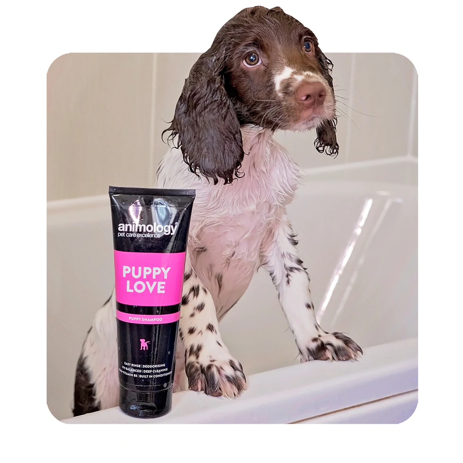 Animology Puppy Love Dog Grooming Shampoo 250ml