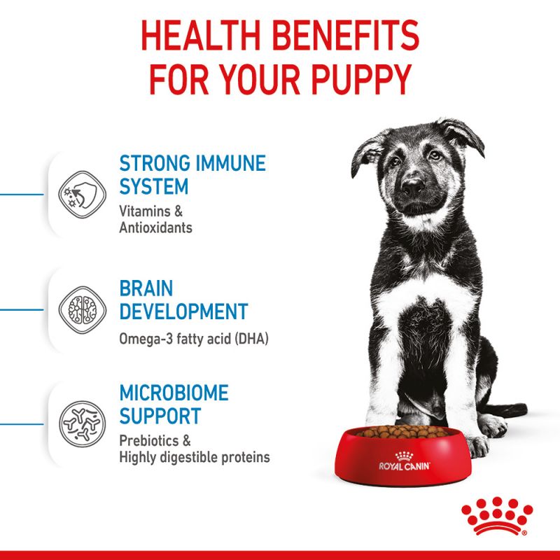 Royal Canin Size Health Nutrition Maxi Puppy Dry Dog Food 4kg