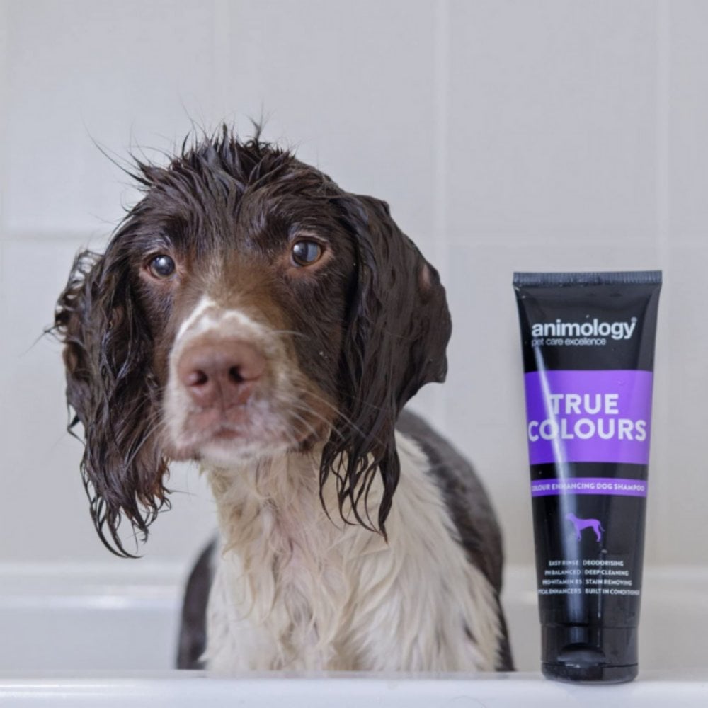 Animology True Colours Dog Grooming Shampoo 250ml